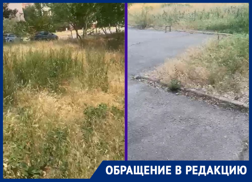 «Ждут, когда мы напишем в Москву? Мы напишем»: волгодончанка возмущена состоянием придомового участка
