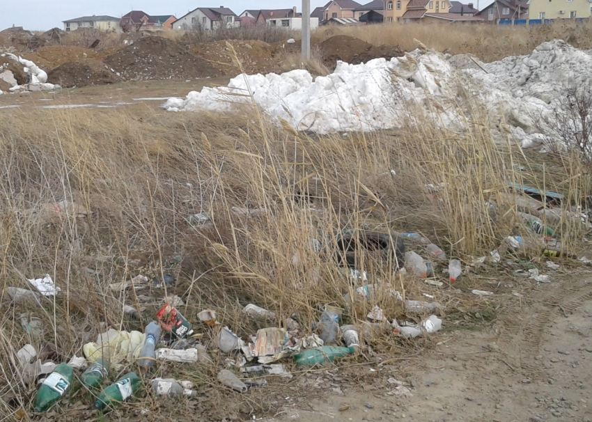 За неубранный мусор в Волгодонске привлекут к ответственности коммунальщиков