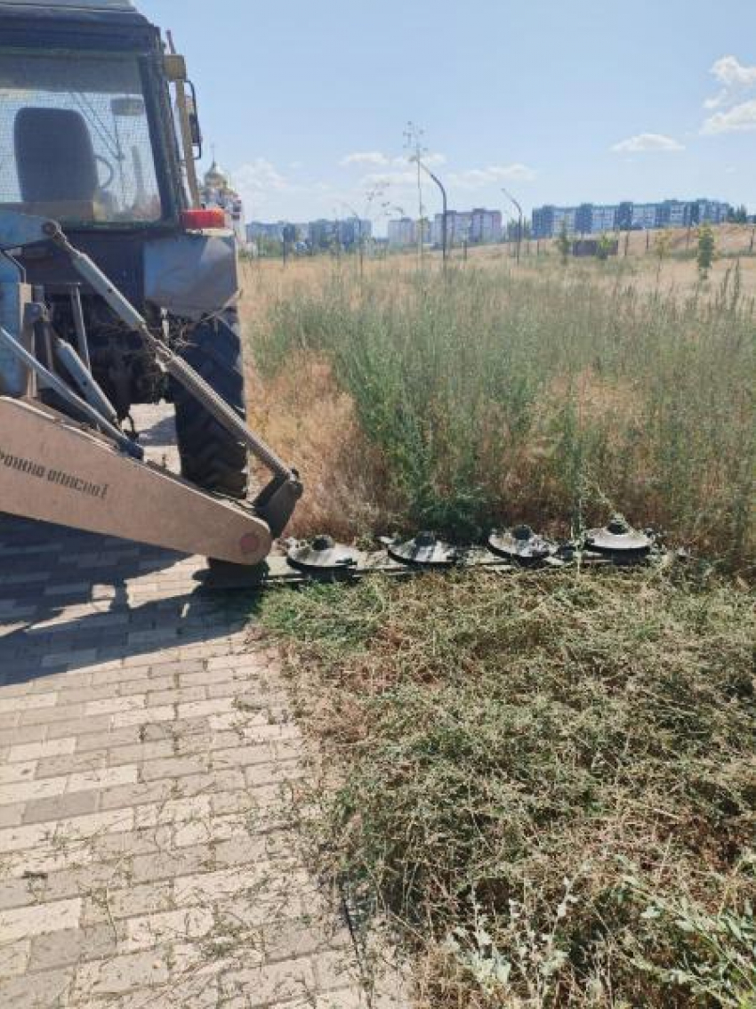 Парк «Молодежный» возвращается к жизни: власти Волгодонска приступили к первоочередным работам