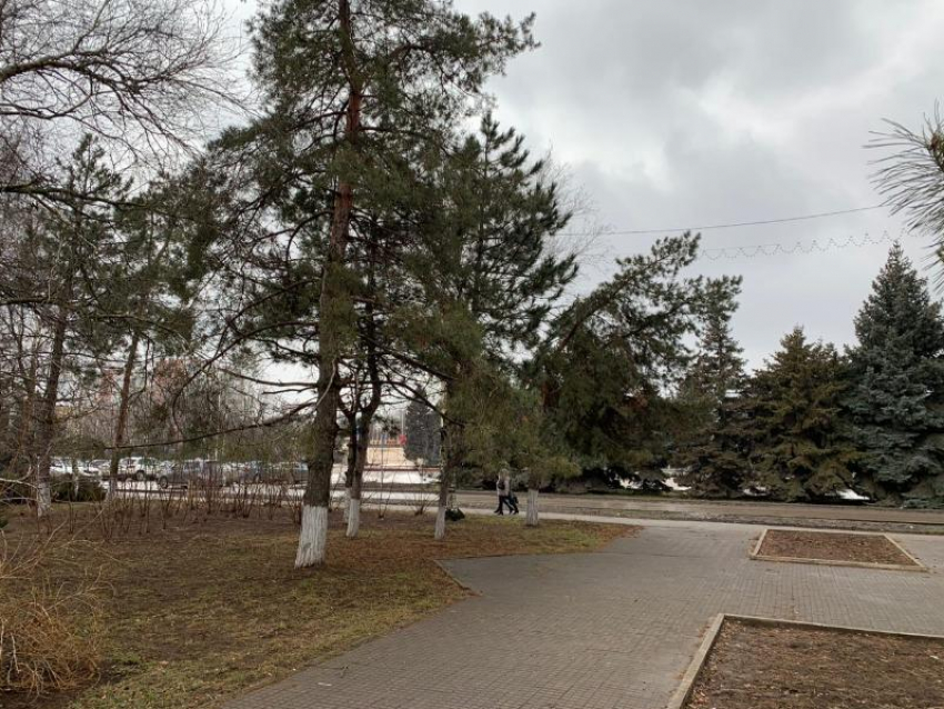 Пасмурно и дождливо будет сегодня в Волгодонске