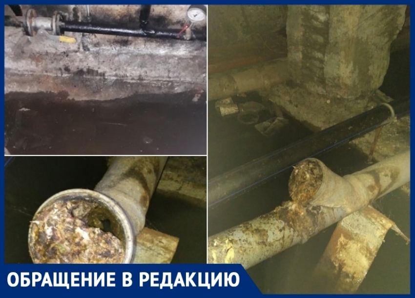 «Подвал в МКД на Курчатова затапливает канализационными отходами»: волгодонцы