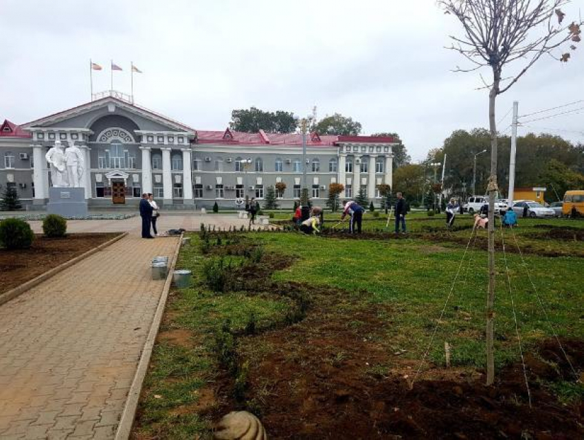В Волгодонске высадили более 2000 деревьев и кустарников