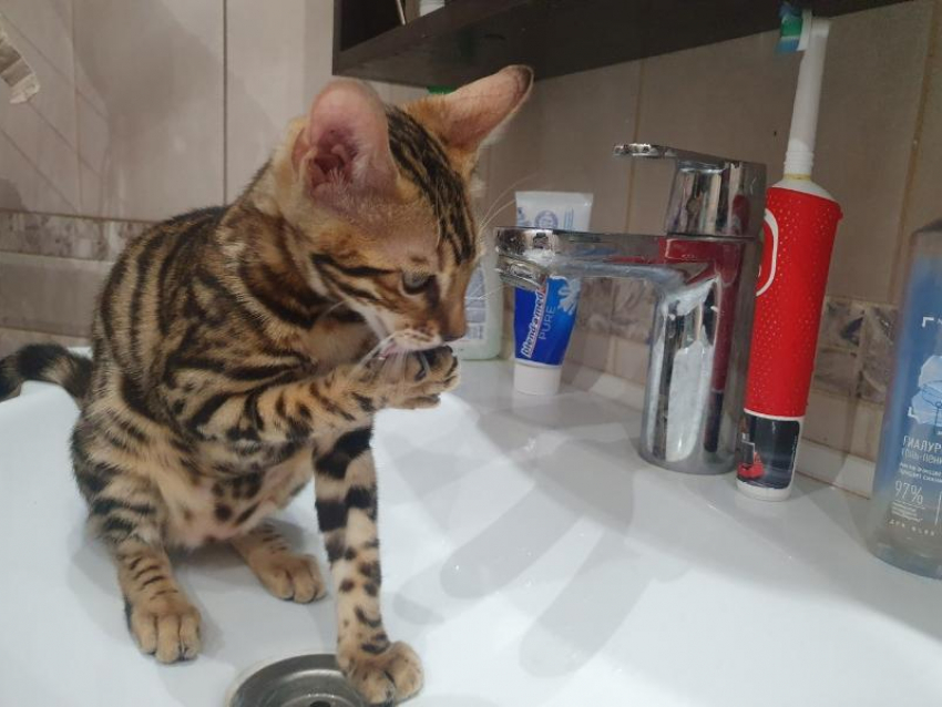 18 МКД в Волгодонске остаются без горячей воды