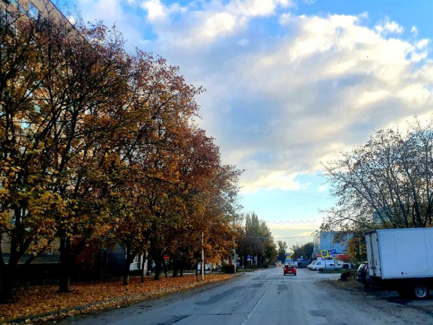 Небольшой дождь ожидается в Волгодонске в предпраздничный день 