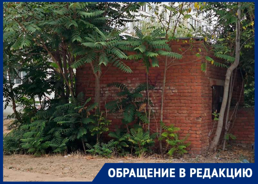  Логово бомжей и наркоманов рядом со станцией переливания крови раздражает местных жителей
