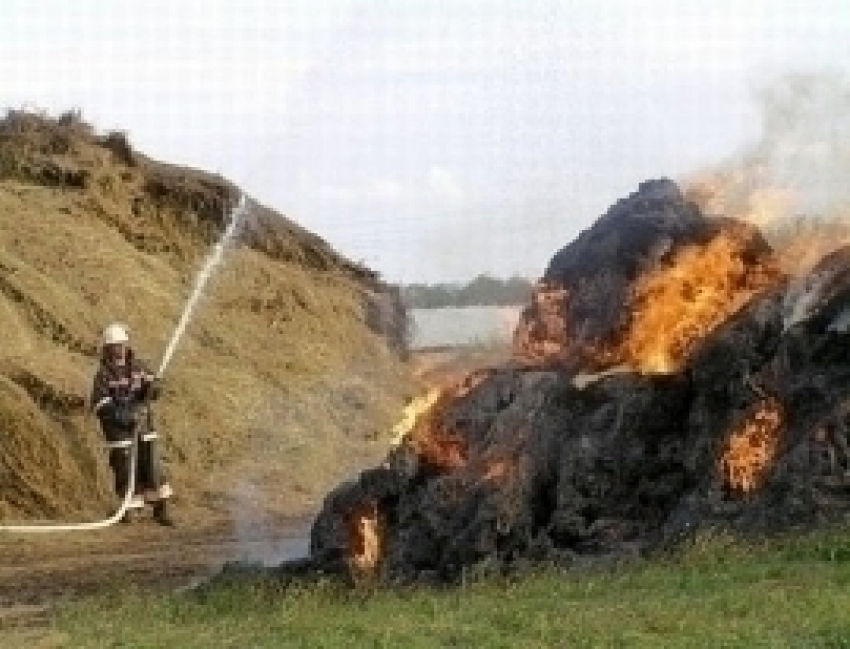 В хуторе Арбузов сгорели 90 квадратных метров сенника