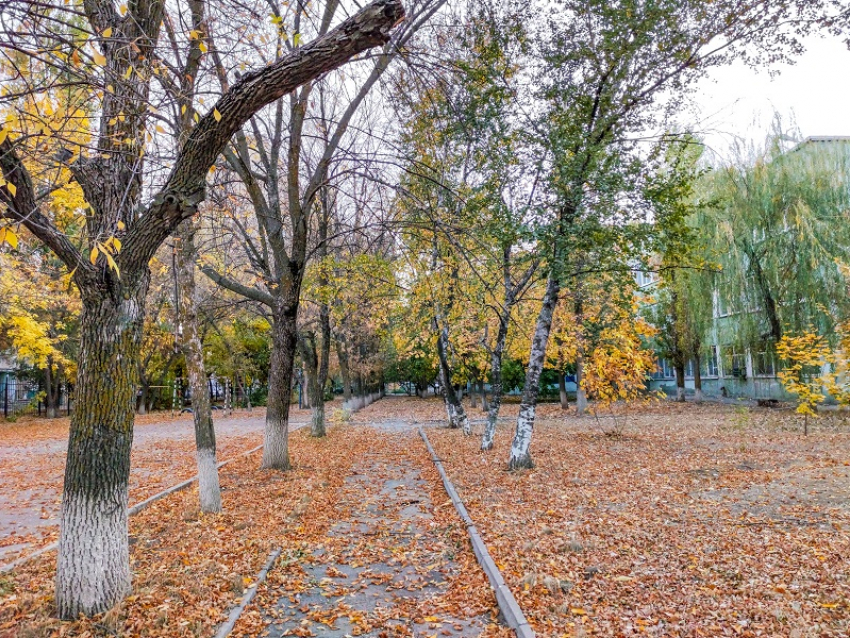 В предпоследний день осени в Волгодонске ожидается южный ветер