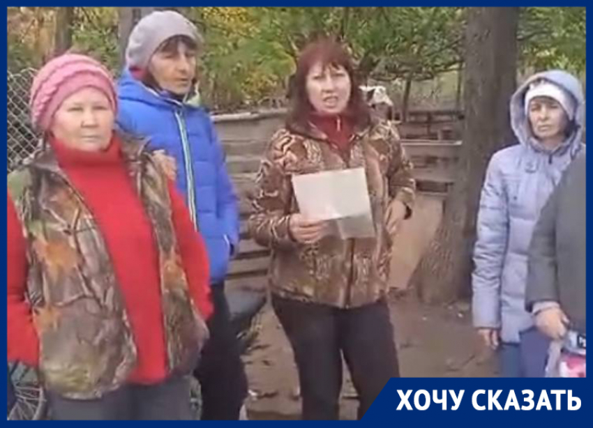 Жили на остановке, а теперь в «приюте»: жители СНТ на добровольной основе содержат десятки бездомных собак