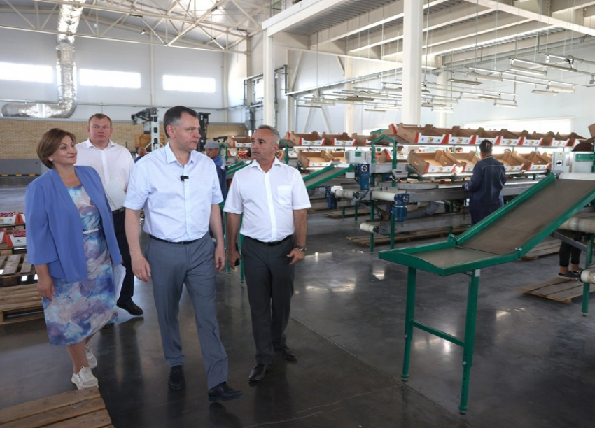 На Дону предложили создать агроагрегаторы для выхода фермеров в крупные сети