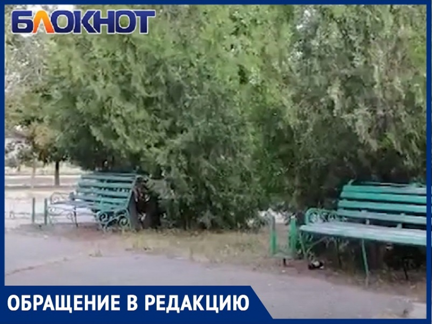 «Урны исчезли, а лавочки загажены блевотиной»: мужчина ужаснулся после возвращения в Волгодонск 