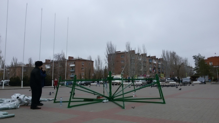 Началась установка самой высокой новогодней ели в Волгодонске