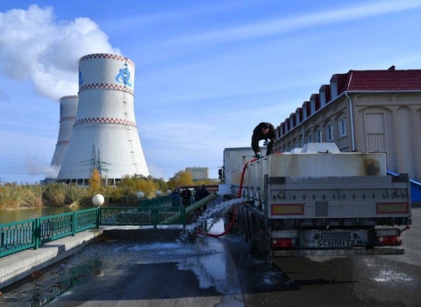 Тысячи голодных рыб-фильтраторов выпустили в пруд-охладитель Ростовской АЭС