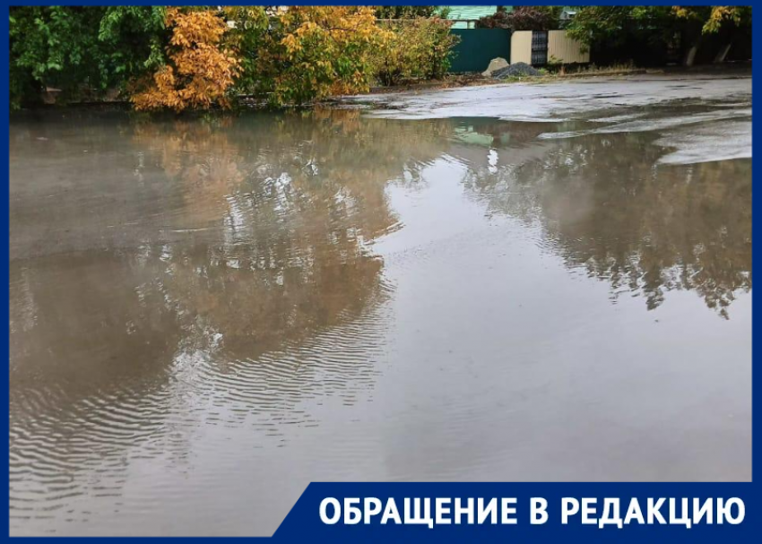 Легендарная гигалужа по переулку Донскому вышла на свет