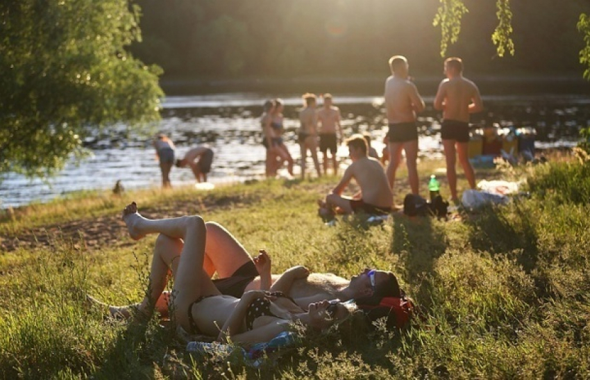 Теплая и солнечная погода ожидается 5 августа в Волгодонске