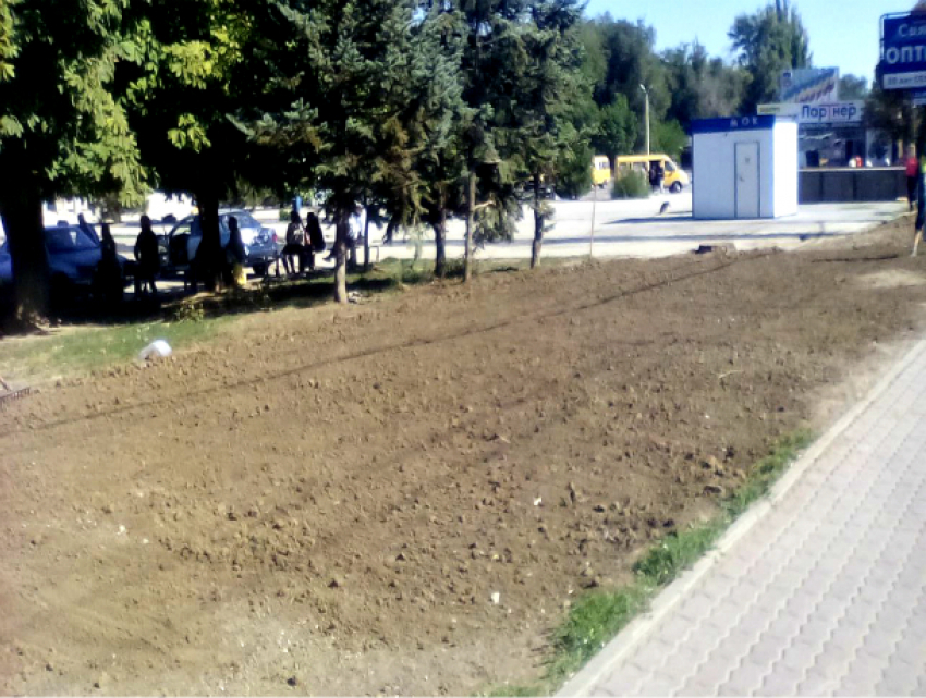 Над проложенными трубами на территории вокзала Волгодонска посеяли газон