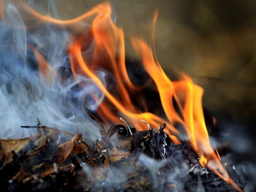 За сжигание листвы волгодонцам грозят большие штрафы