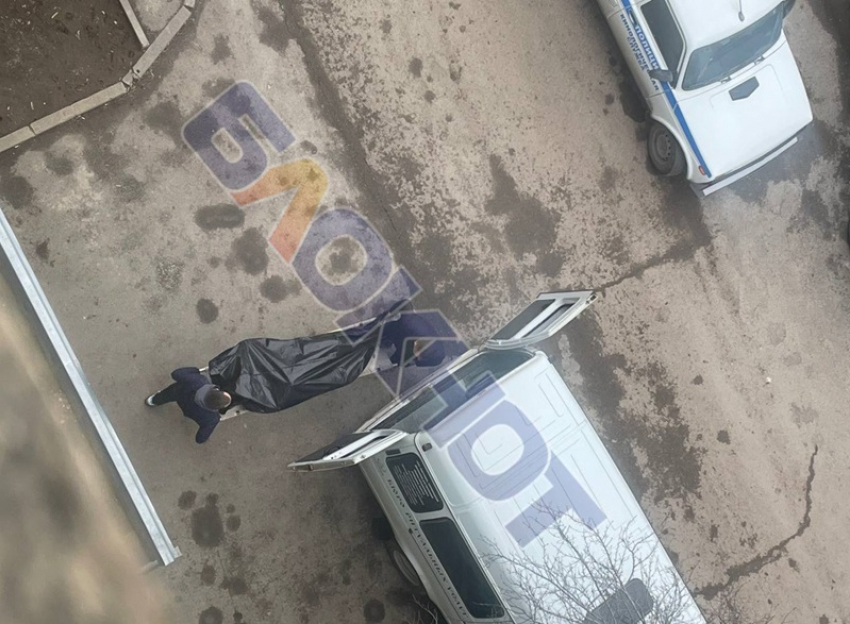 Тело пролежало в квартире 2 дня: задержан подозреваемый в жестоком убийстве на улице Черникова в Волгодонске 