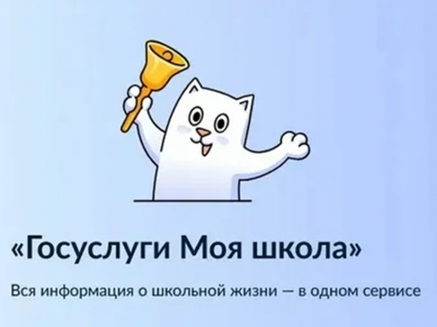 Родителей предупредили о переходе всех учебных заведений на цифровой сервис «Моя школа»
