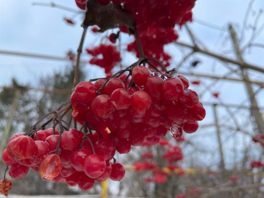 Местами снег с дождем: о погоде в последний вторник декабря 