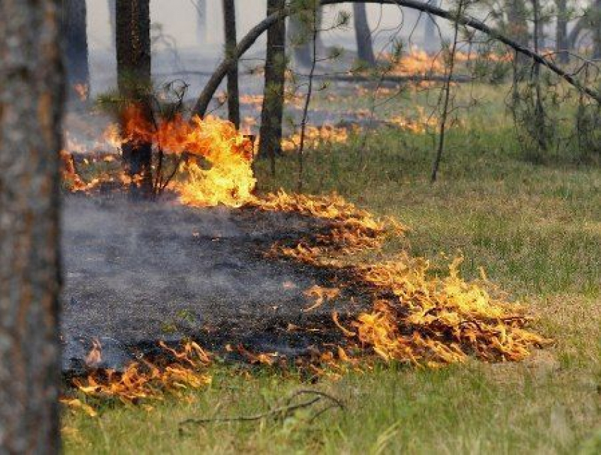 Август в Волгодонске обещает быть жарким и пожароопасным 