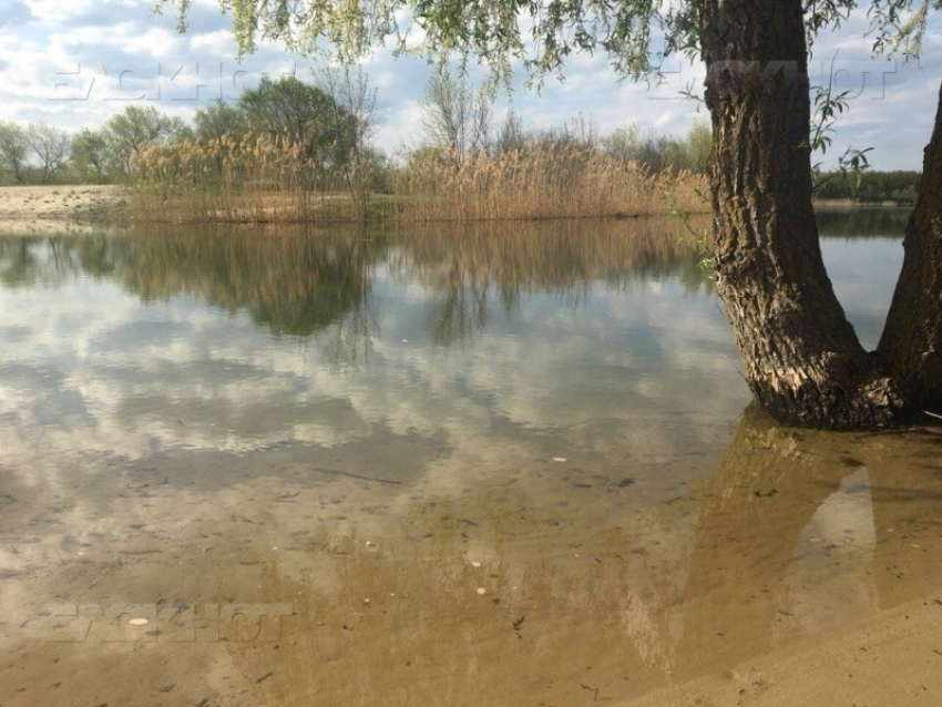 Реку Дон в Волгодонском районе назвали опасной для купания 