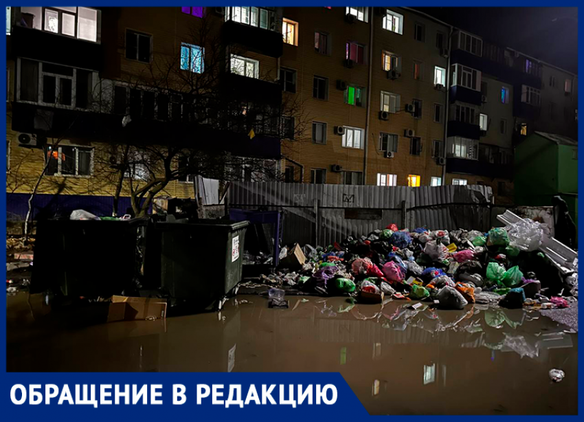 В гигантской луже скопилась мусорная куча: жители возмущены огромной свалкой в Волгодонске