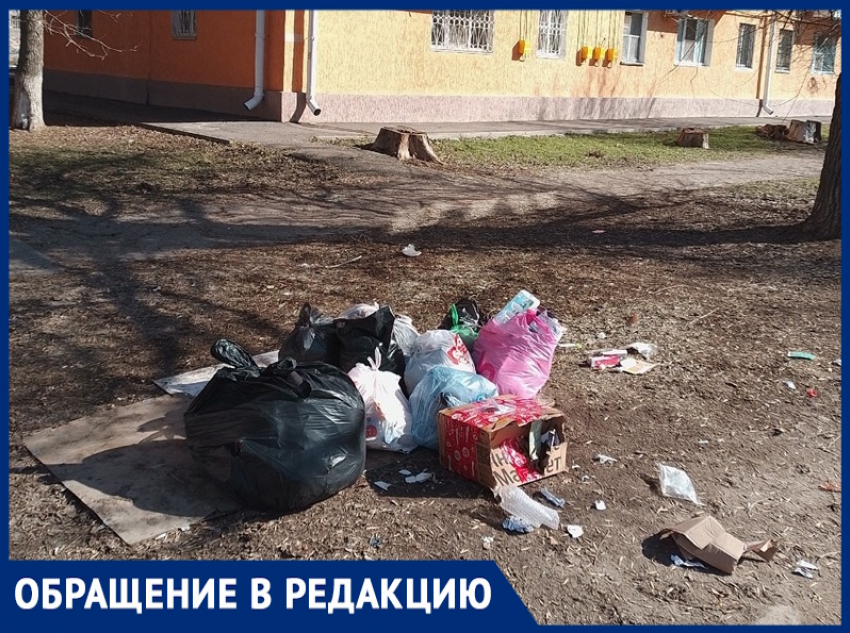 «Люди из МКД на Советской устроили помойку род собственными окнами рядом с квартирой депутата»: жительница коттеджа 