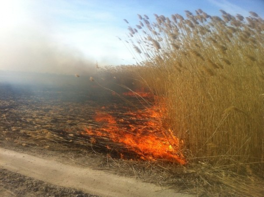 Количество ландшафтных пожаров в Волгодонске увеличилось в четыре раза