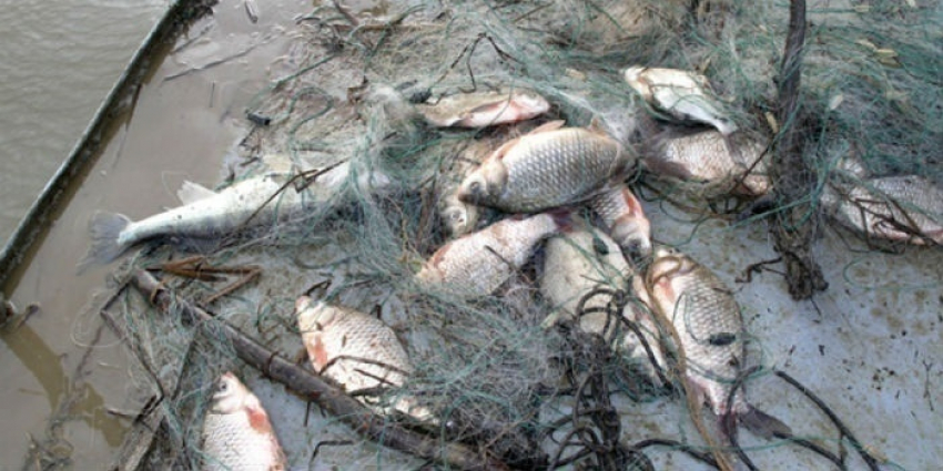Ночных браконьеров задержали в акватории Цимлянского водохранилища