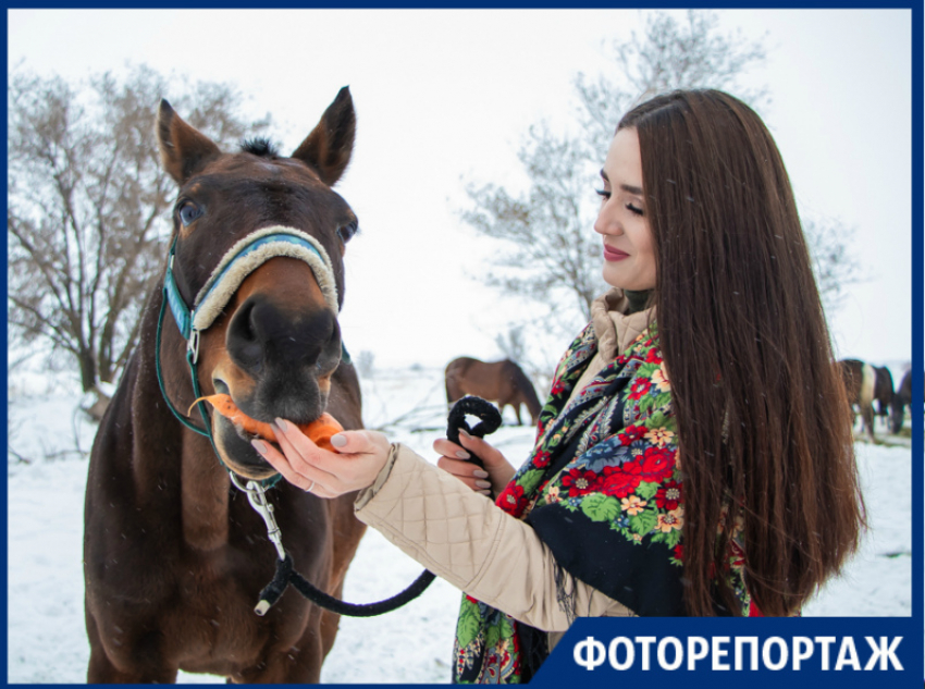 «Лошадь лечит душу человека»: «Конное подворье» приглашает волгодонцев в гости