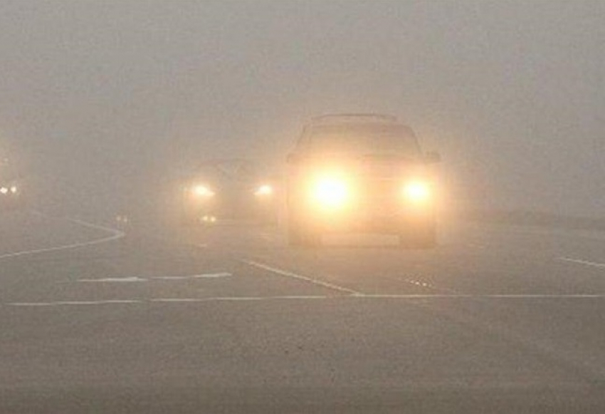В Волгодонске в туман у пешеходов в светлой одежде больше шансов выжить