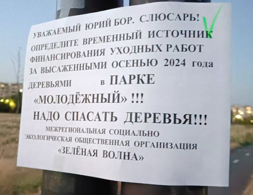 Листовки с призывом к Юрию Слюсарю спасти засыхающие деревья появились в Молодежном парке