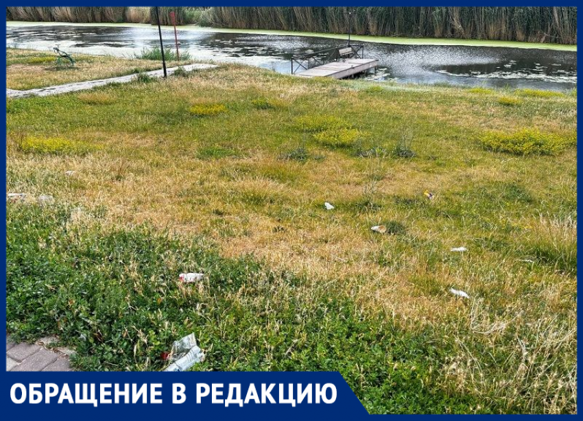 «Деревья засохли, пруд цветет и воняет»: жители  «Города Счастья» пожаловались на состояние микрорайона
