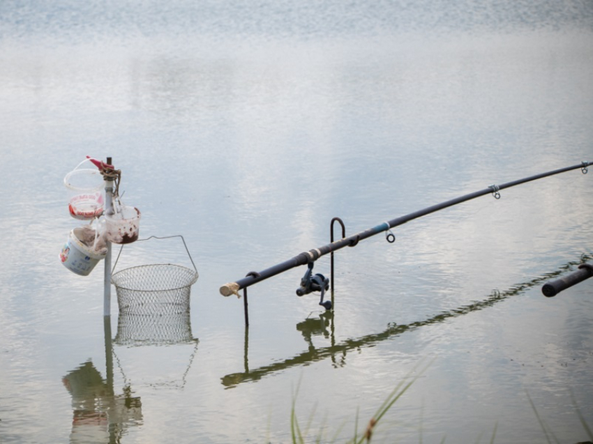 Можно ли ловить рыбу в нерест | Применение правил рыболовства