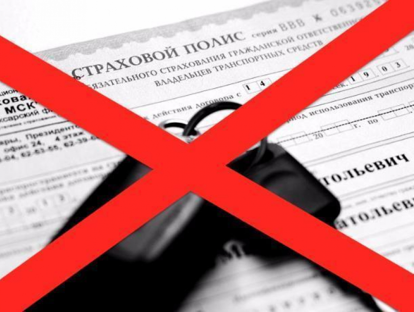 Новые правила регистрации авто очистят рынок от поддельных полисов ОСАГО, - эксперт из Волгодонска