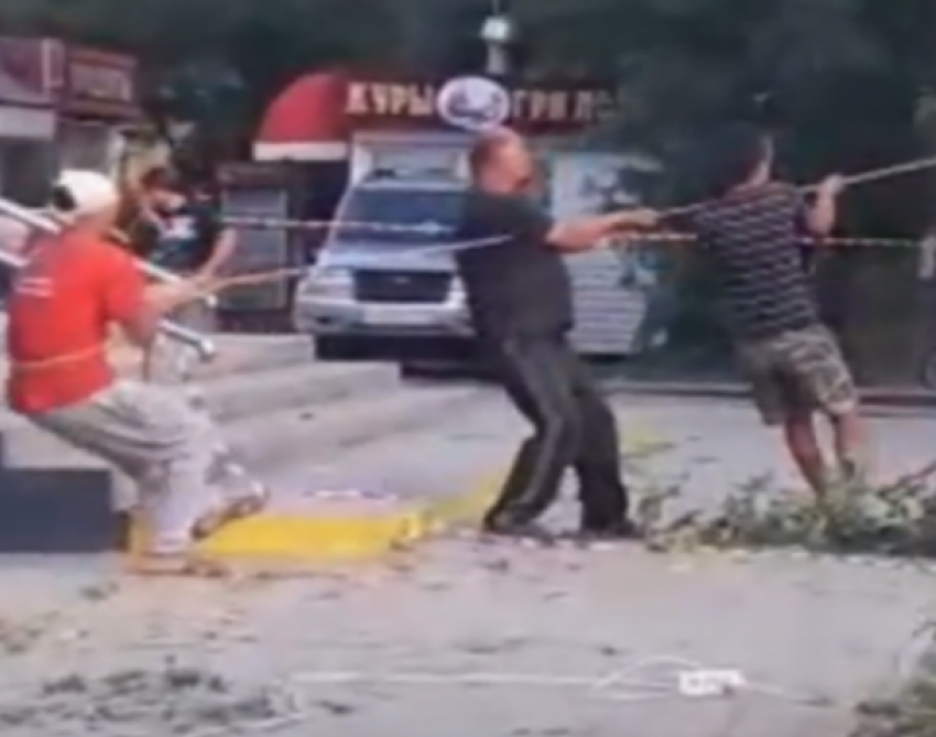 Волгодончанка сняла на видео уничтожение молодых деревьев у магазина «Магнит» 