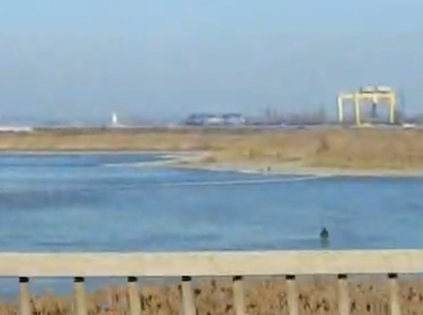 Рыбаки вышли на залив в Волгодонске после гибели на льду первого ребенка в Ростовской  области