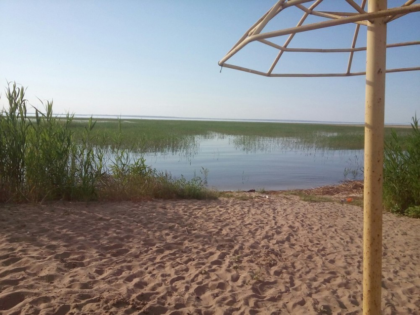 Заросший пляж на В-9 в Волгодонске хотят сдать арендаторам