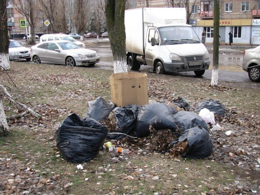 До Нового года мусор точно не исчезнет с улиц Волгодонска