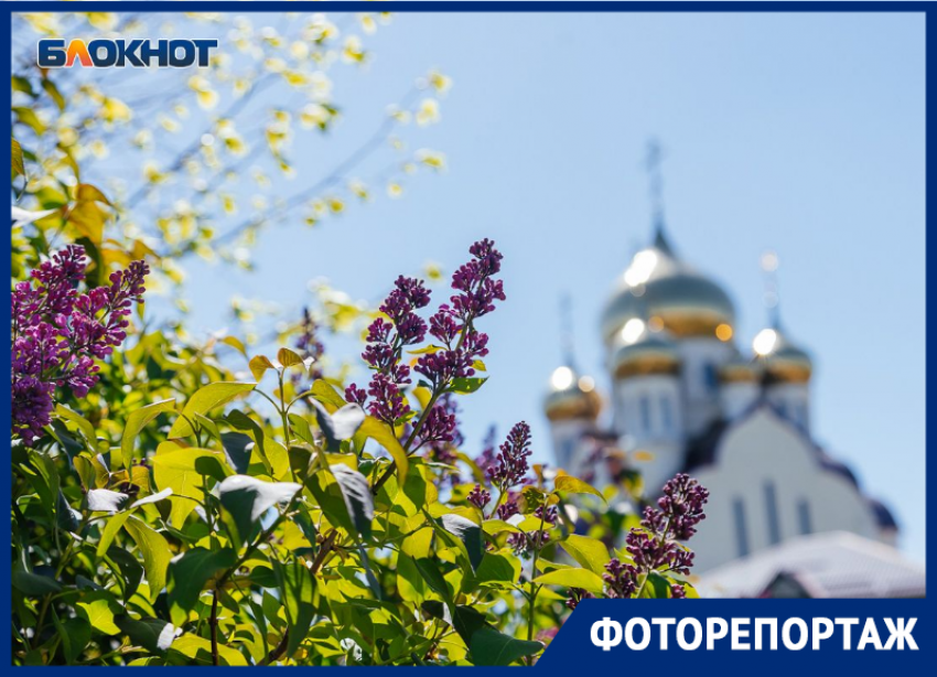 Таким как сегодня,  Волгодонск можно увидеть лишь раз в году