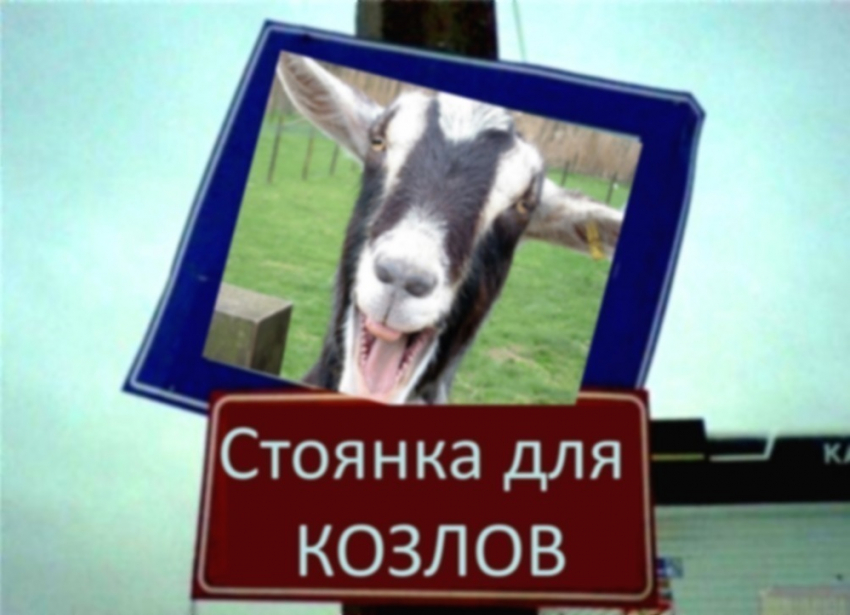  В Волгодонске появятся стоянки для «козлов»