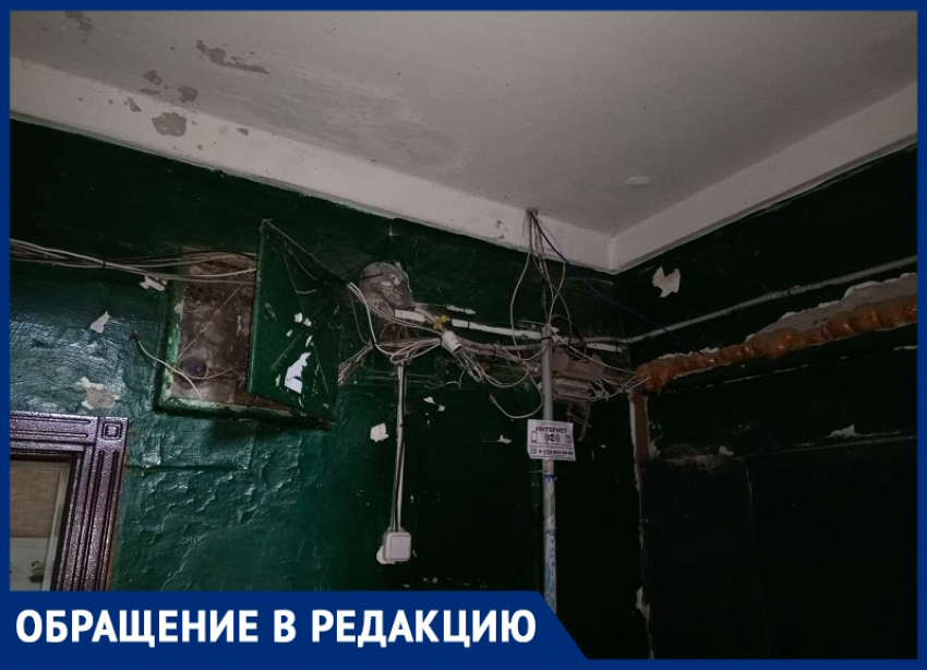 «Не дом, а гадюшник»: жители Волгодонска возмущены состоянием подъезда в многоквартирном доме