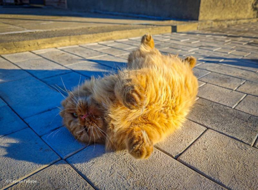 Сегодня в Волгодонске будет холодный и пасмурный день 