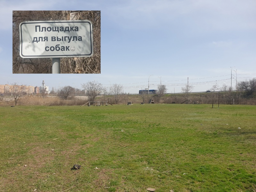 Даже у детей такого нет: по новым правилам Волгодонск должен строить специальные городки для собак