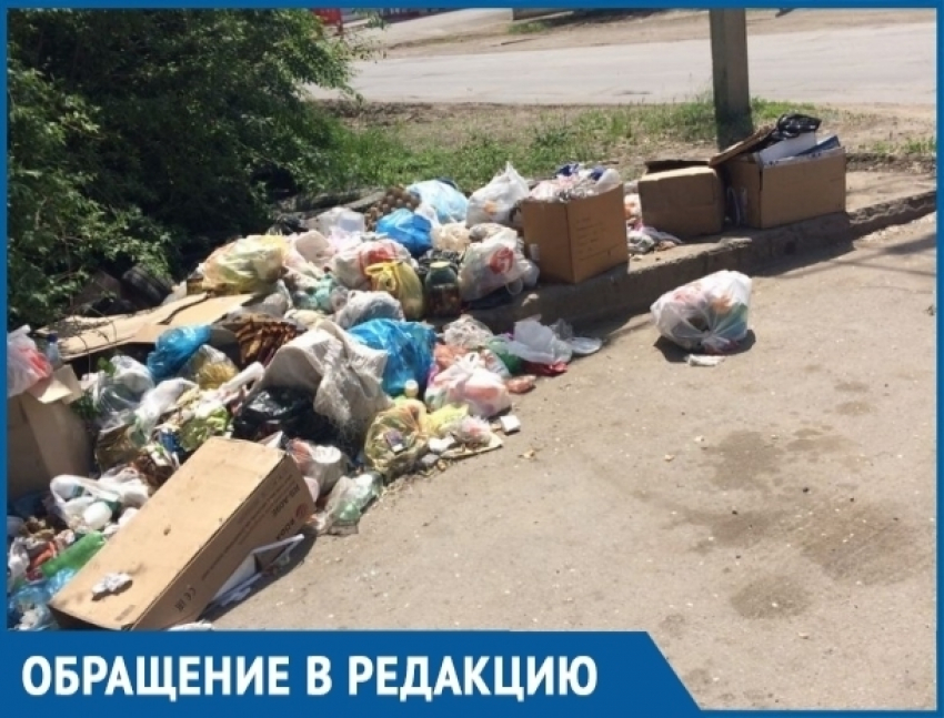 Жители улицы Степной в Волгодонске зарастают мусором из-за отсутствия контейнеров