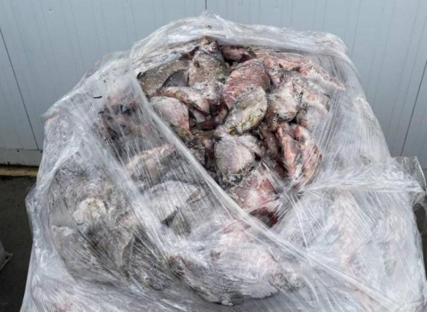 ФСБ конфисковала браконьерской рыбы на 2 миллиона рублей у жителя Волгодонска