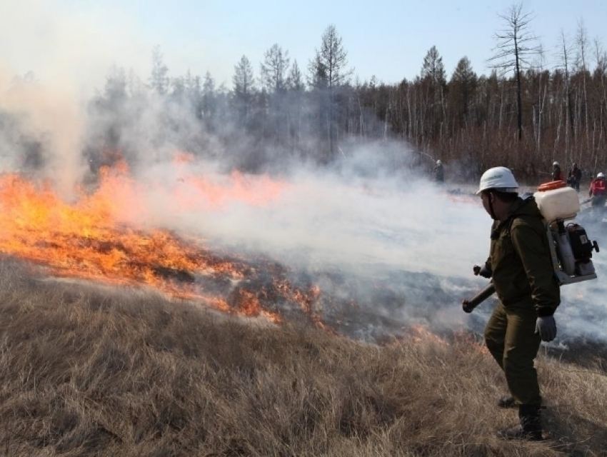 Штраф за сжигание мусора и сухой растительности в Волгодонске станет больше
