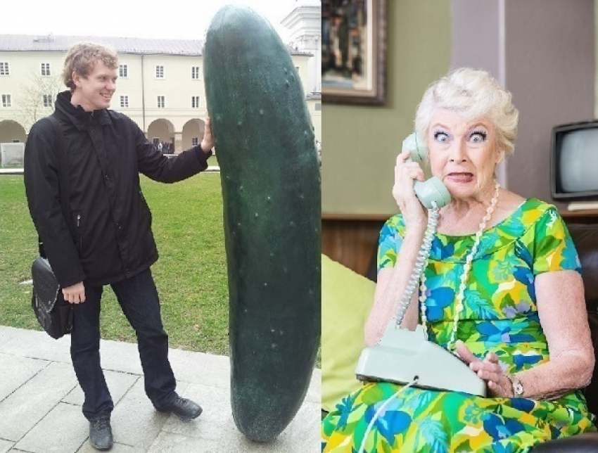 Как вырастить огурец-гигант на зависть теще