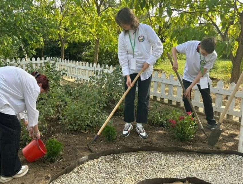 Деревья будут символизировать души невинно убиенных: клумба памяти появилась на территории Центра «Радуга»