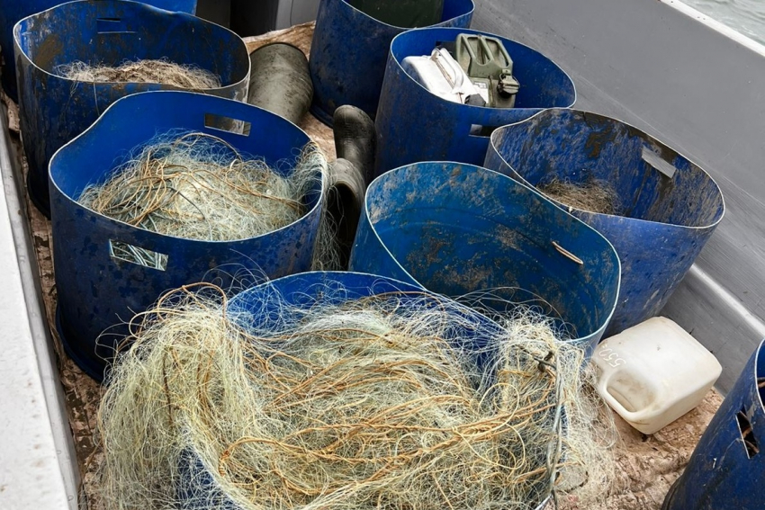 Более 5 километров сетей изъяли из Цимлянского водохранилища: спасено 156 килограммов рыбы